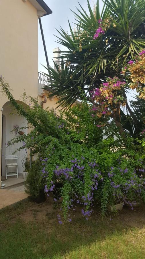 B&B Villa Orchidea Olbia Ngoại thất bức ảnh
