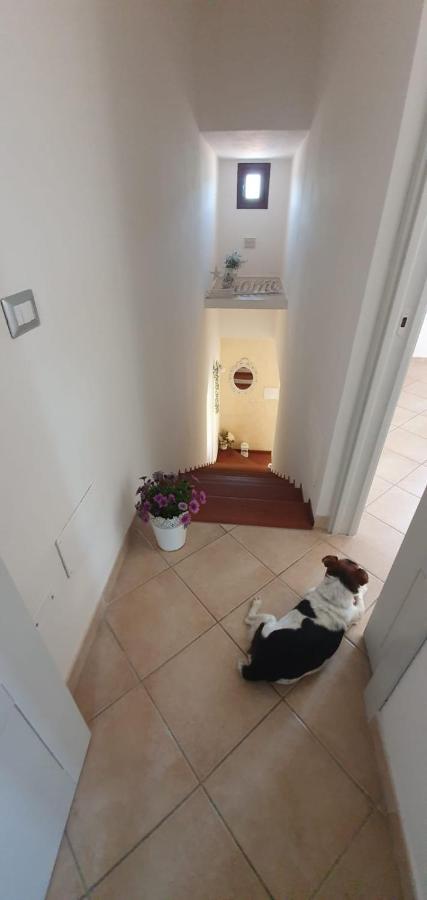 B&B Villa Orchidea Olbia Ngoại thất bức ảnh